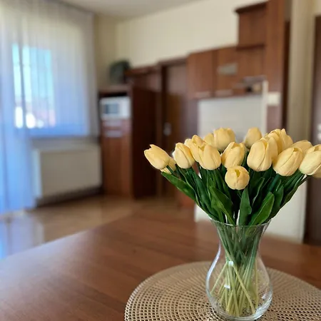 Janka Apartman *